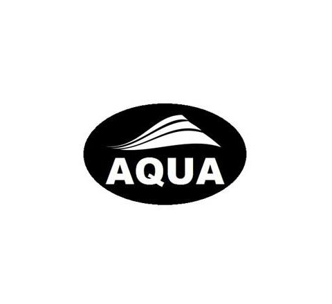 AQUA PAINT BRUSHES